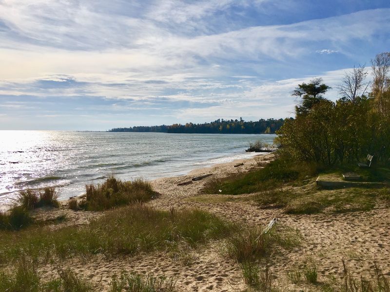 Fern And Europe Bay Trail At Newport State Park, Ellison Bay