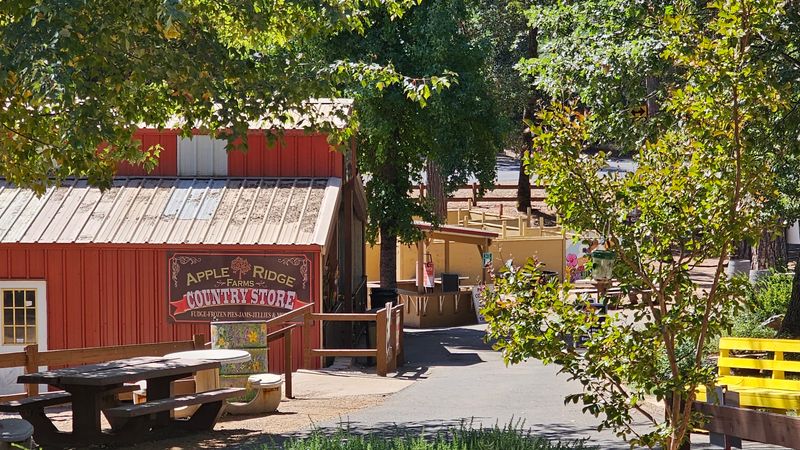 Apple Ridge Farms, Camino: A Bakery Worth A Pause