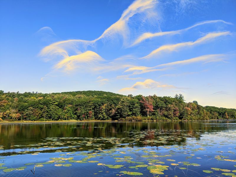 Forests Shape Much Of The Landscape