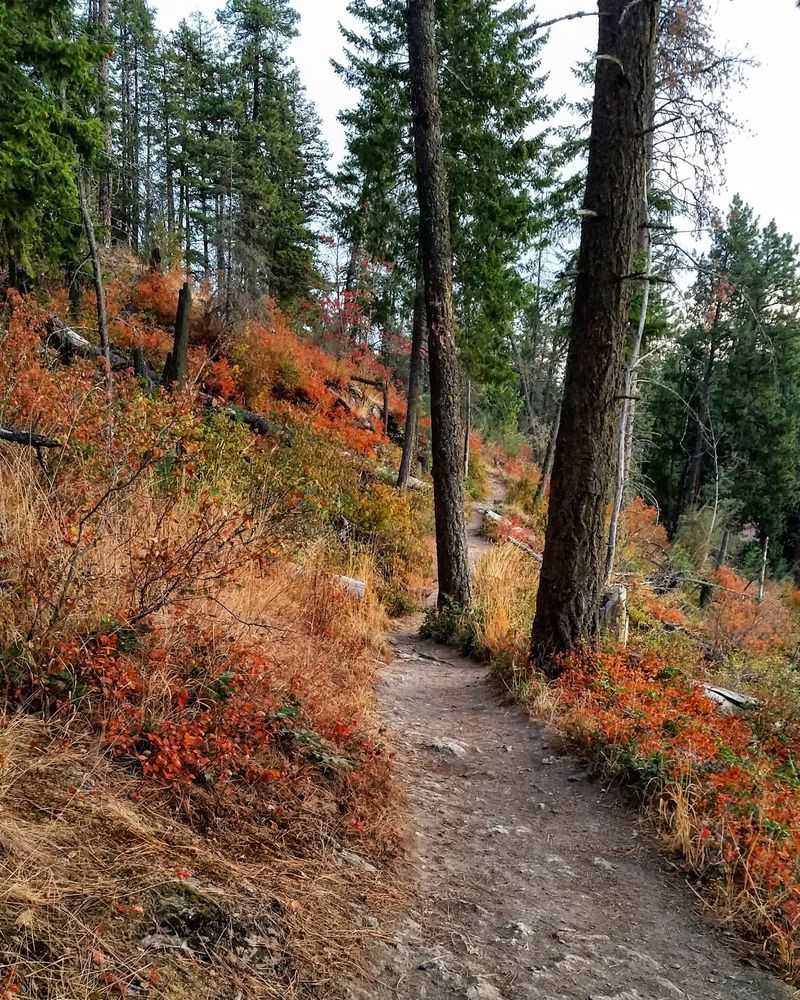 Tubbs Hill Loop, Coeur D'Alene