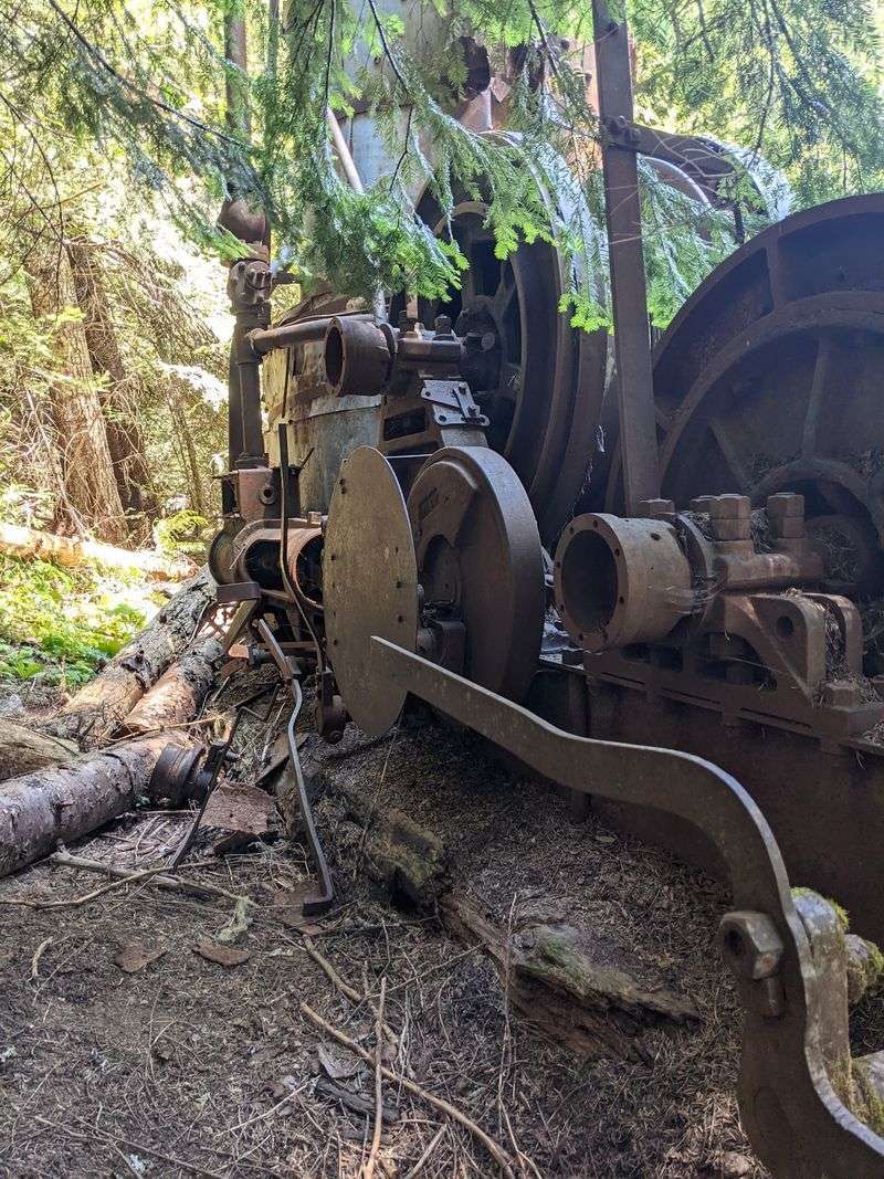See The Rusting Machine That Once Dragged Massive Logs Through The Woods