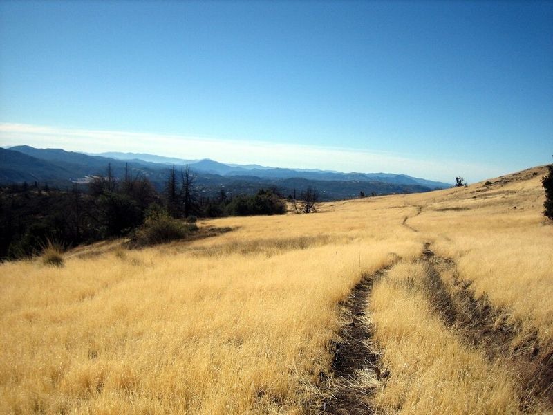 See Fall Color Around Cuyamaca