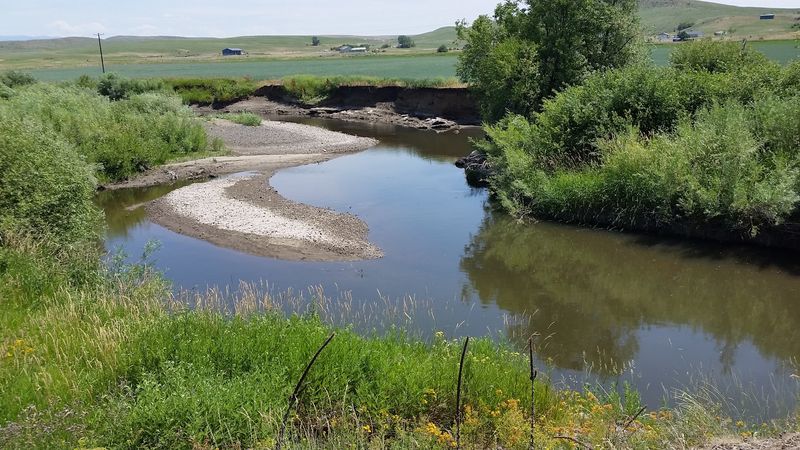 Rainbow Trout Give Campers Another Reason To Spend Time By The River