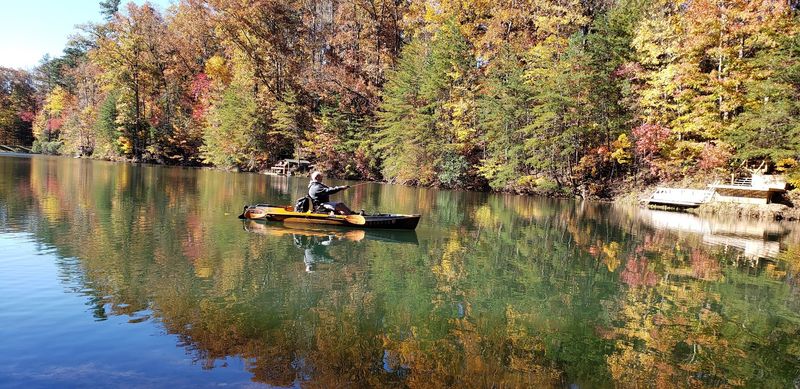 Trout Streams At Rock Creek And The Toccoa River