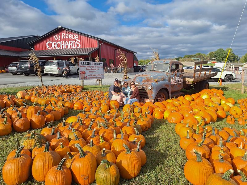 B.J. Reece Orchards, Ellijay