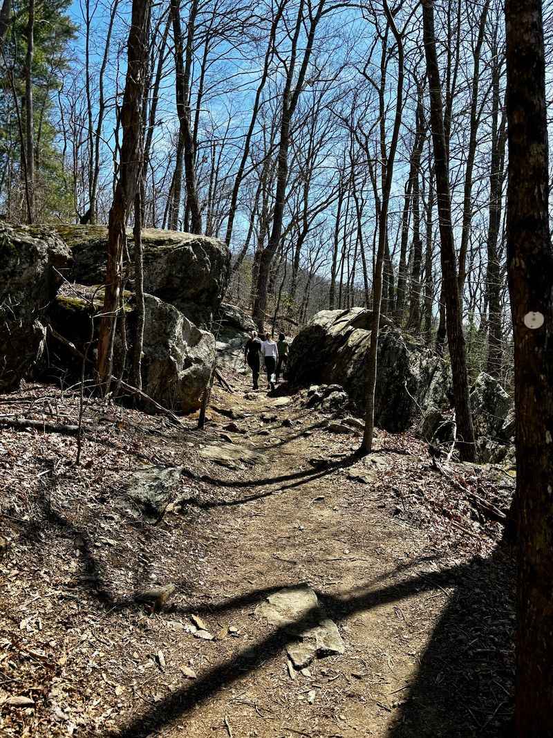 15 Abandoned North Carolina Places With Stories Creepier Than Any Haunted House - Decor Hint Rattlesnake Lodge Ruins, Asheville