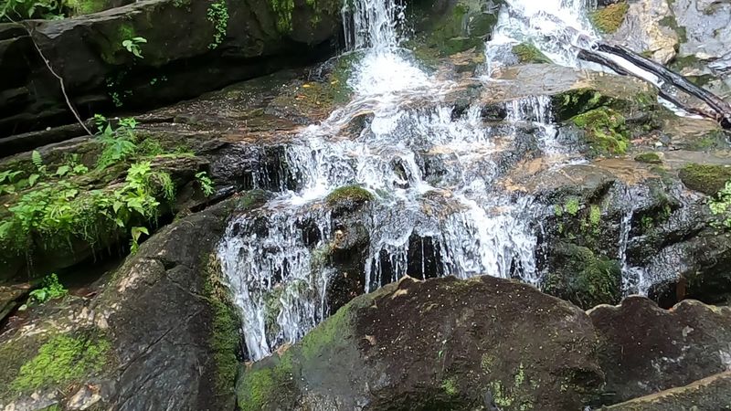 This Georgia Waterfall Hike Winds Through A Shaded Forest To Multiple Cascades - Decor Hint The Smaller Cascades Along Holcomb Creek