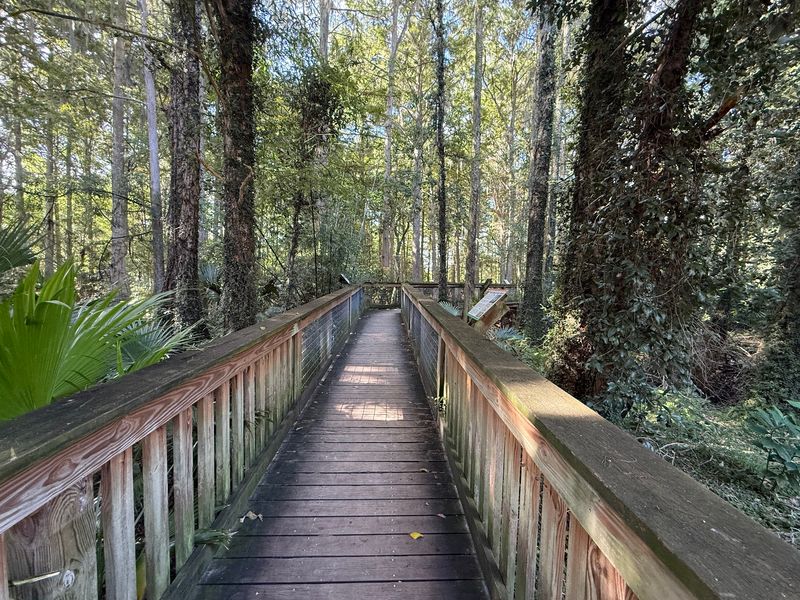 Gator Park And Cypress Boardwalk