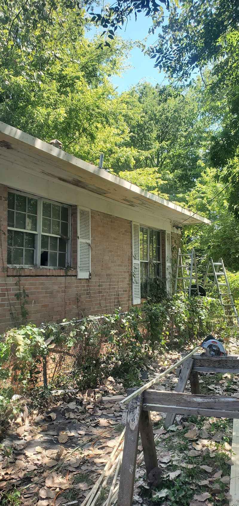 This Louisiana River Town Feels Like A Quiet Affordable Escape With Homes Under $200,000 - Decor Hint Everyday Bills That Stay Gentle