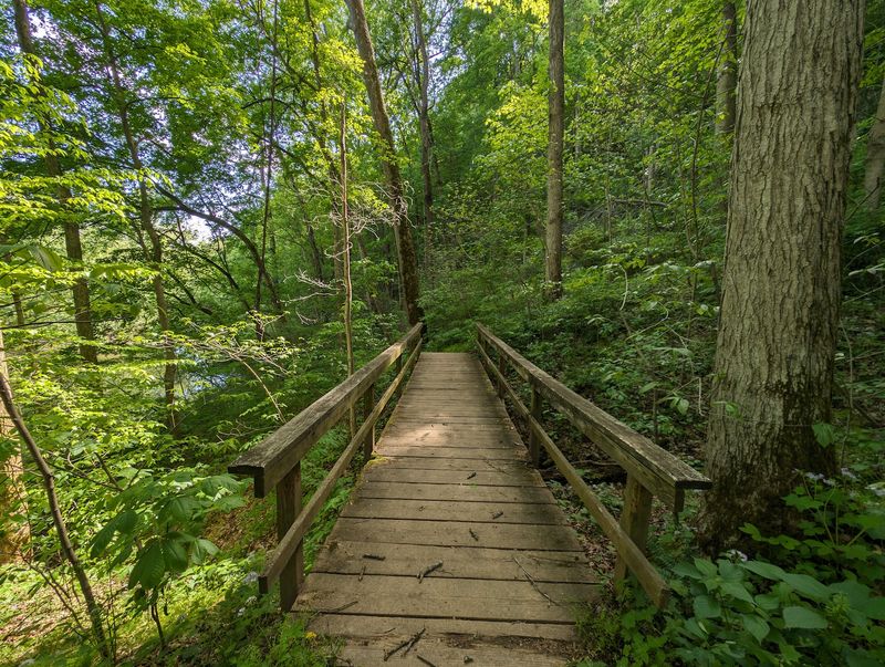 The Sprawling Indiana State Park That Far Too Many Travelers Still Overlook - Decor Hint Forest Light That Changes With Every Season