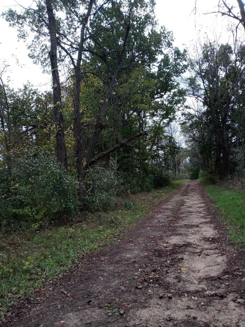 Seven Gables Road, Dansville