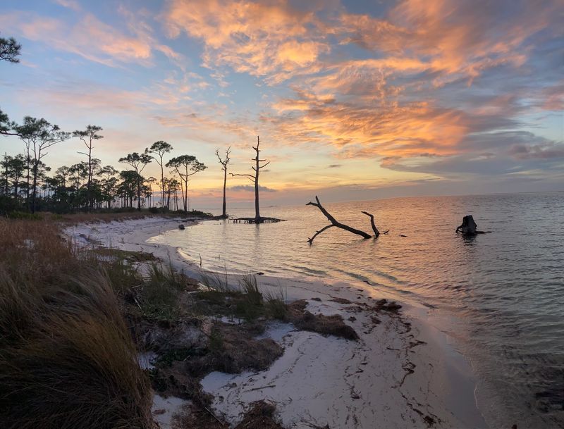 Dr. Julian G. Bruce St. George Island State Park, St George Island