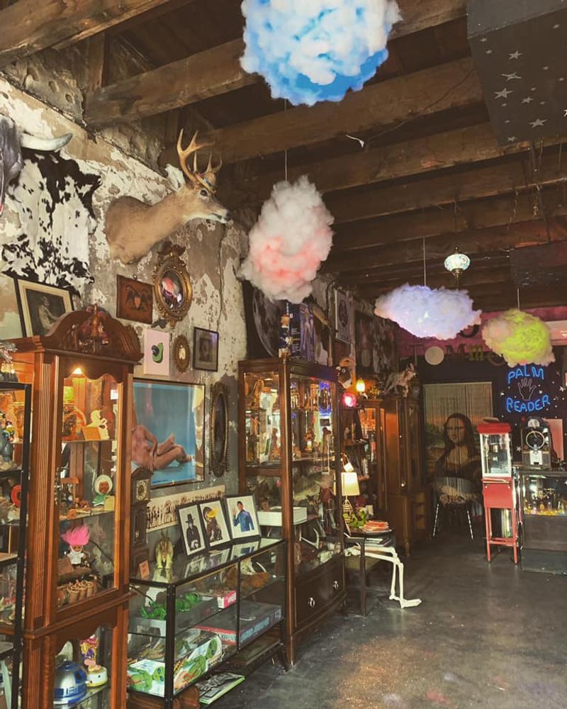 Major Tomms Oddities & Vintage, Winston-Salem, North Carolina