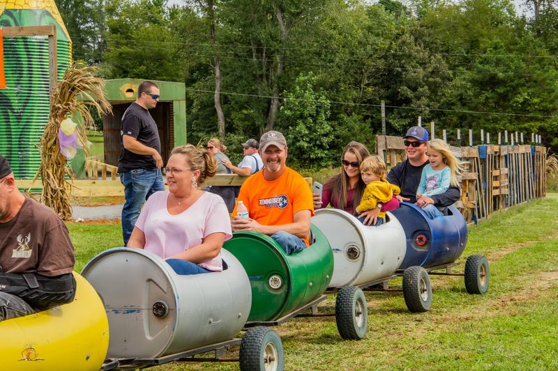 Race Down Giant Slides And Bounce Your Way Through The Farm
