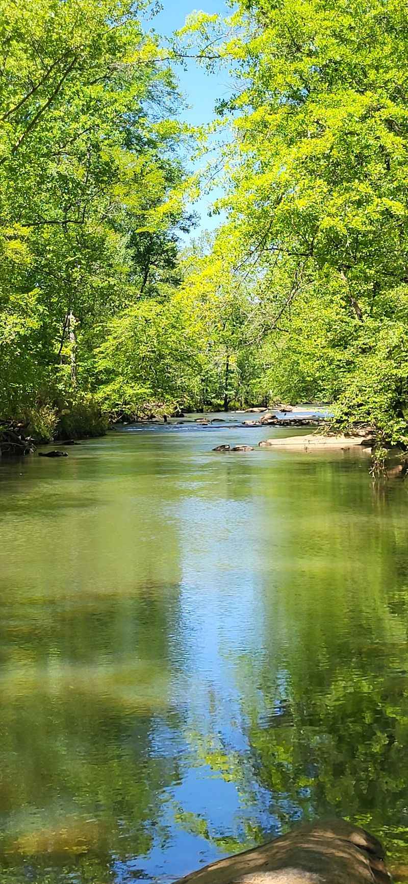Fishing And Swimming At The Watering Hole