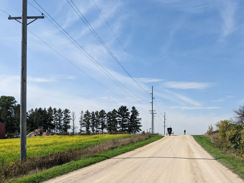 Share The Road With Horses And Buggies