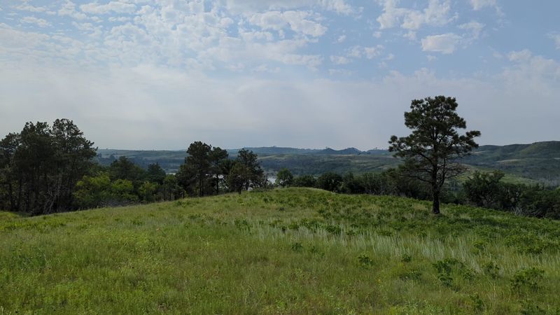 Nearly 1,000 Sandhill Prairie Acres Surround The Bison Herd At This Nebraska Preserve - Decor Hint A Soft Verdict From the Grass