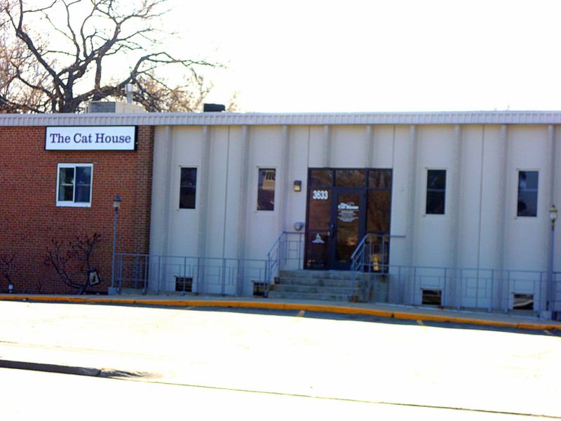 The Verdict on Nebraska's Cats-in-Charge Shelter