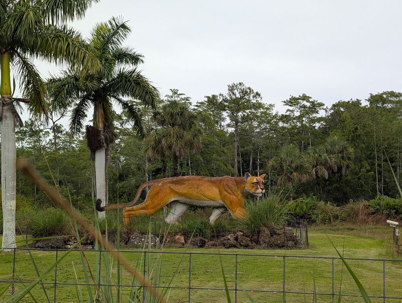 Getting There Across Big Cypress
