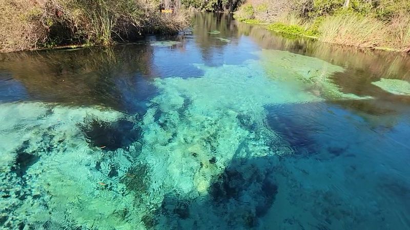 Florida's Oldest Roadside Attraction Still Stages Live Mermaid Shows in a Spring-Fed Theater - Decor Hint Why the Mermaids Still Matter