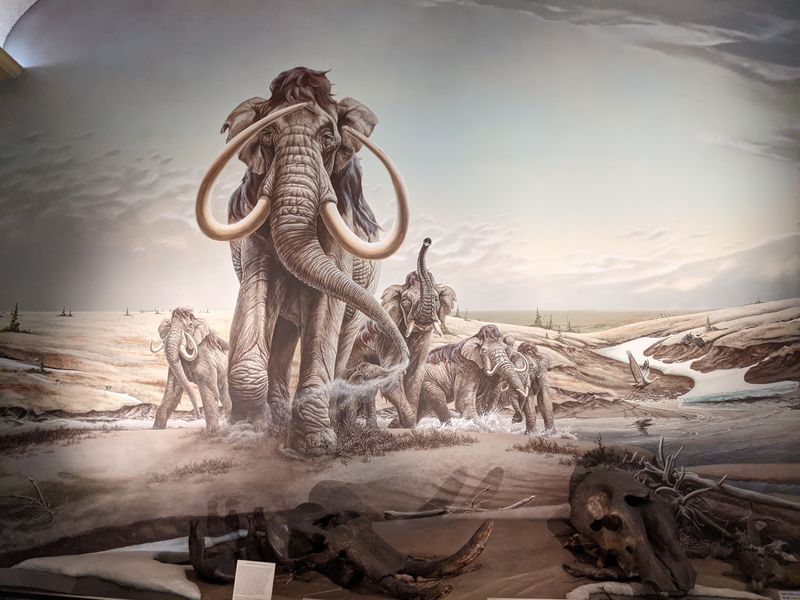 Why the Walk Through Elephant Hall Sticks With You