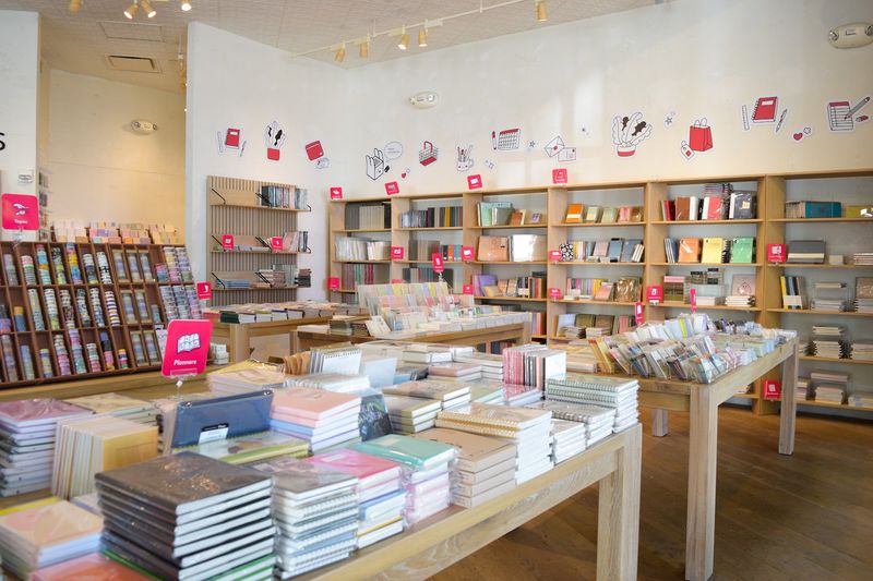 Calm Shelves, Clean Lines, Happy Eyes
