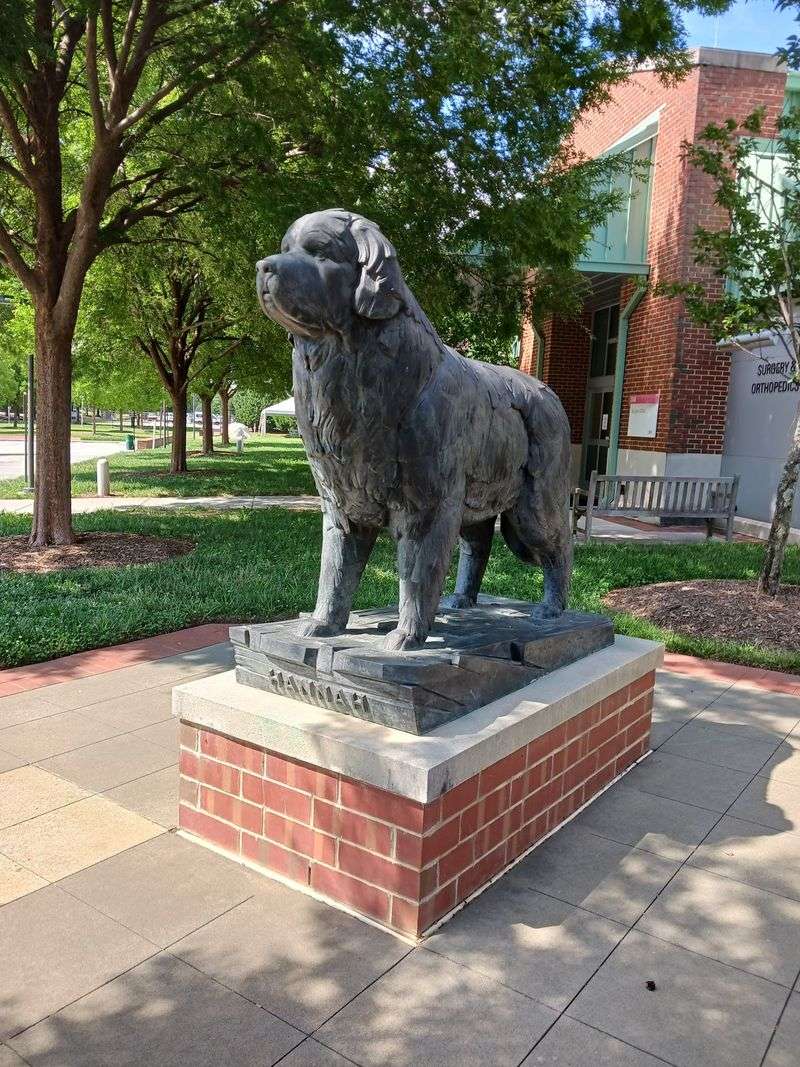 What Visitors Should Know Before Coming To The Campus