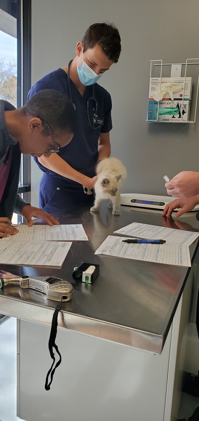 Athens Area Humane Society, Athens