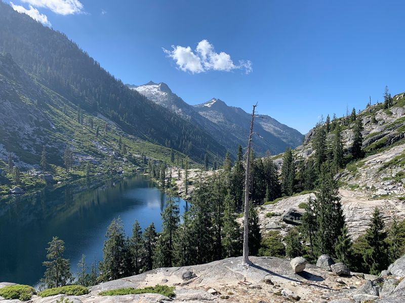 12 California Counties Seeing A Massive Spike In Black Bear Sightings This Fall - Decor Hint Trinity County: A Quiet Stronghold For Wandering Bears