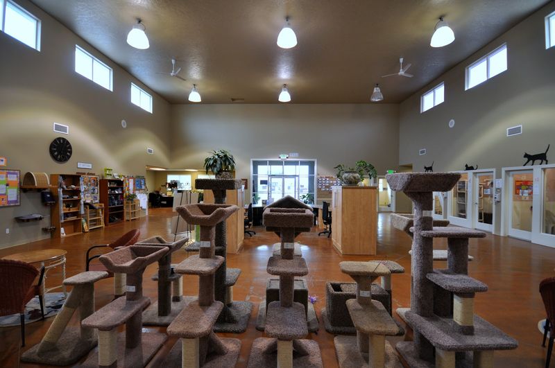 A Cageless Haven In Boise's Treasure Valley