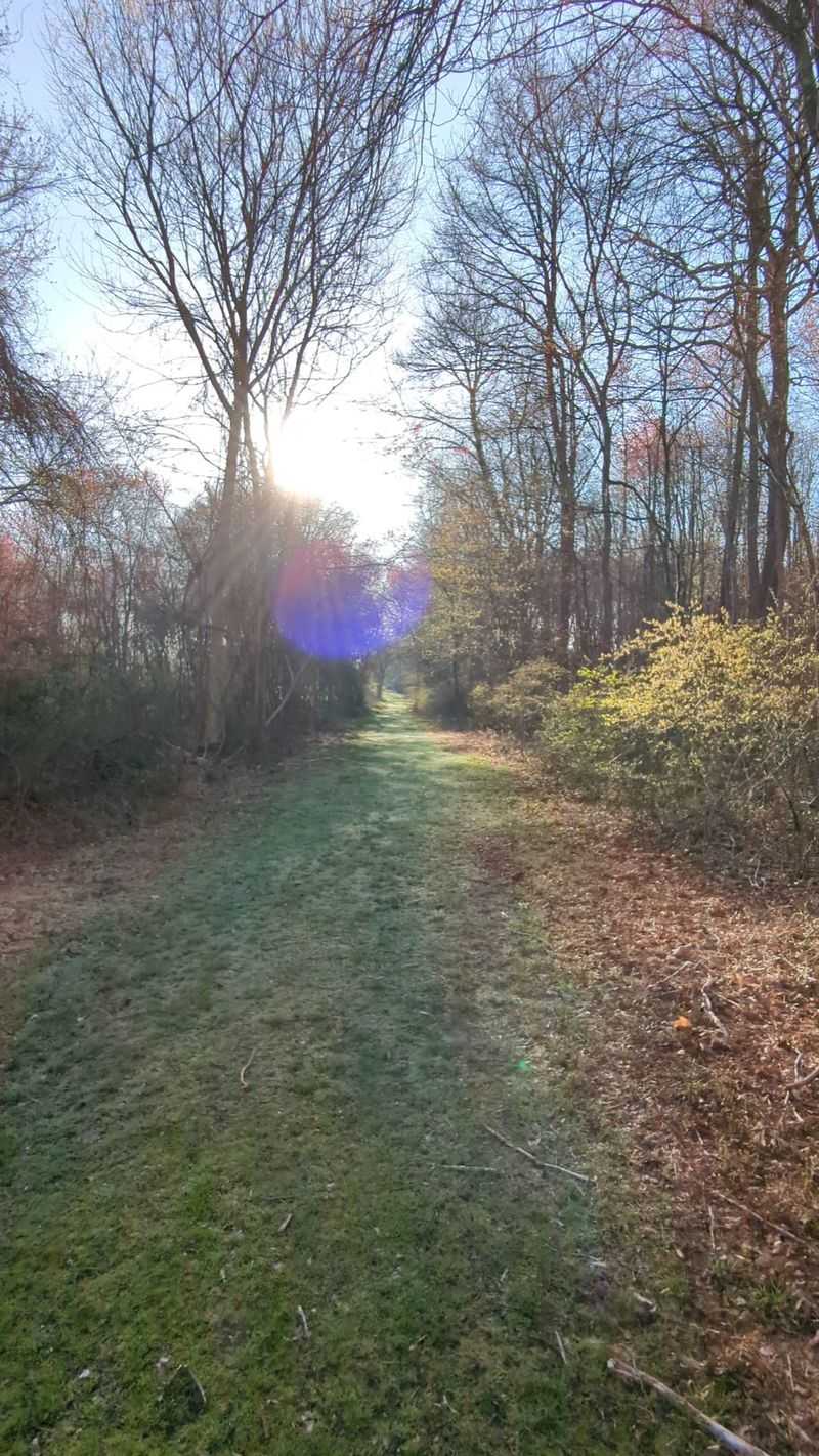 Parker Farm Trail, Jamestown
