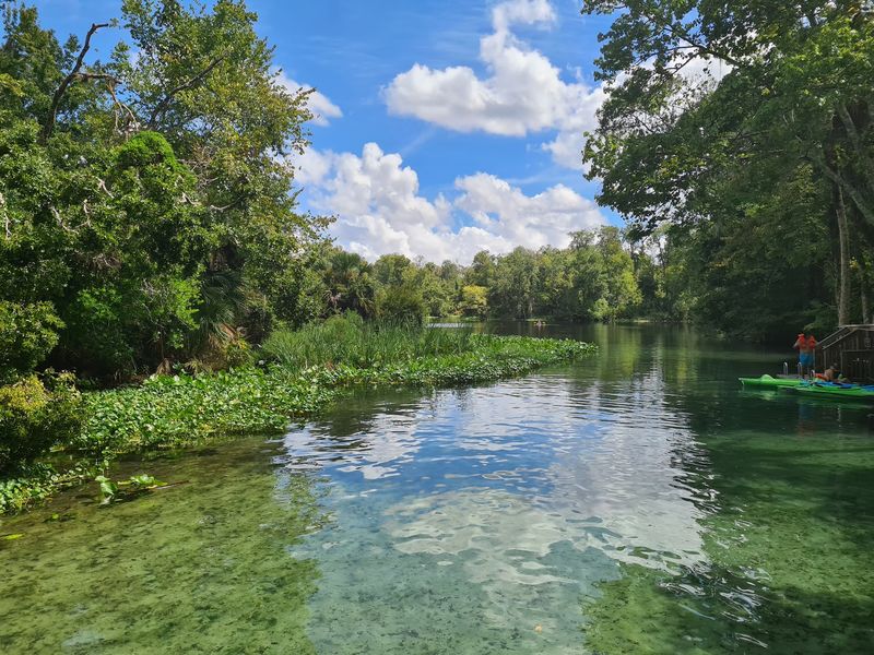 Six Florida springs you can paddle before the winter crowds show up - Decor Hint Wekiwa Springs State Park