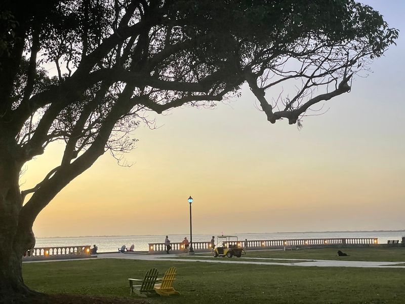 The Back Yard Overlooking Sarasota Bay