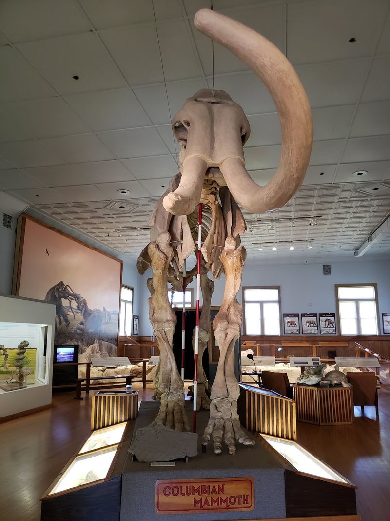 Hands-On Space and the Encounter Center