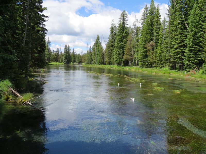 A Spring Near The Montana Line