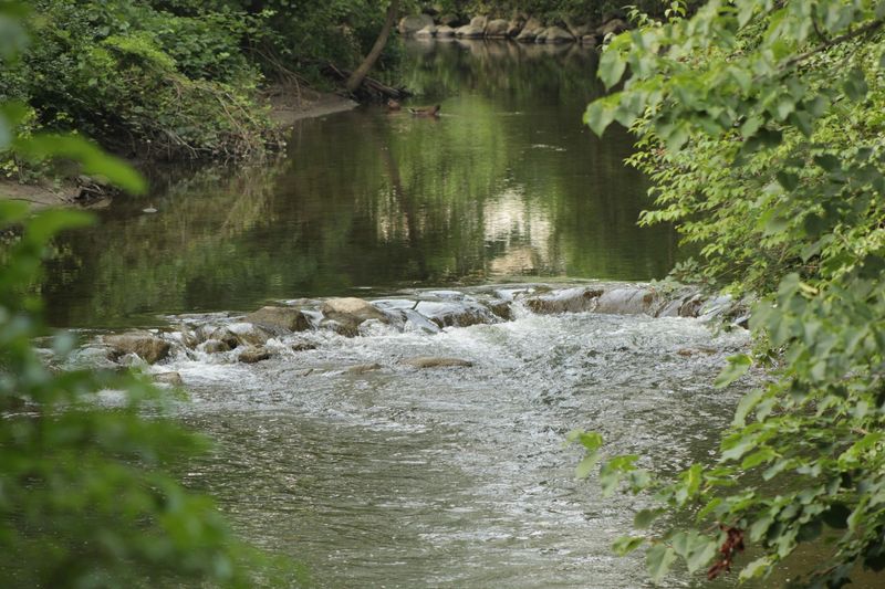 Paint Creek Trail