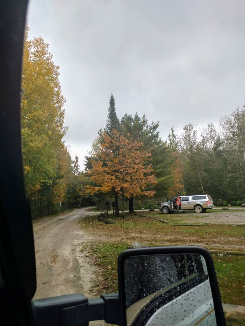 Gladwin County, Northern Lower Peninsula