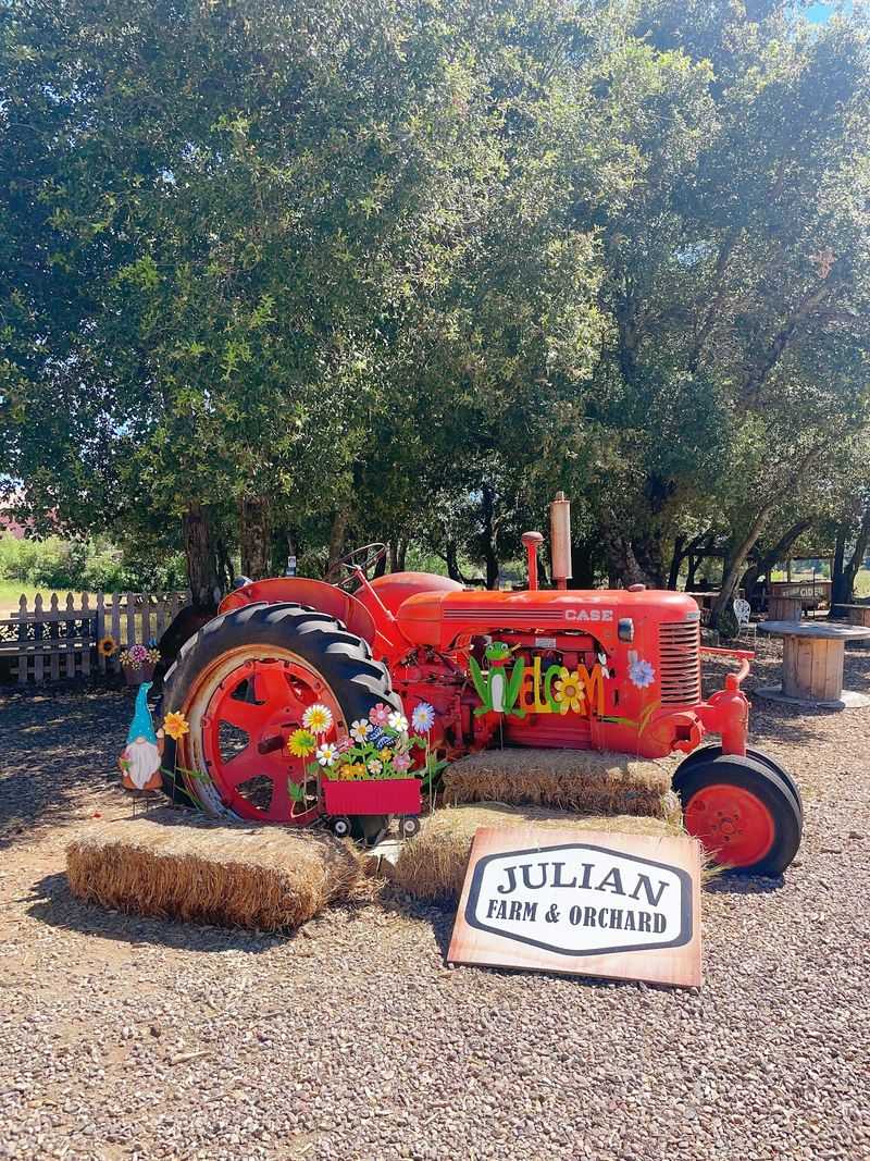 Julian Farm & Orchard: Mountain Town Adventure