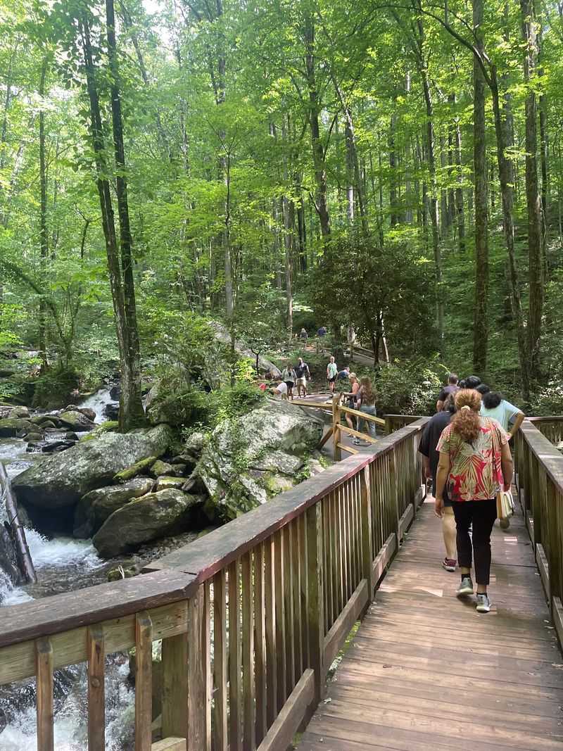 Anna Ruby Falls Trail, Helen