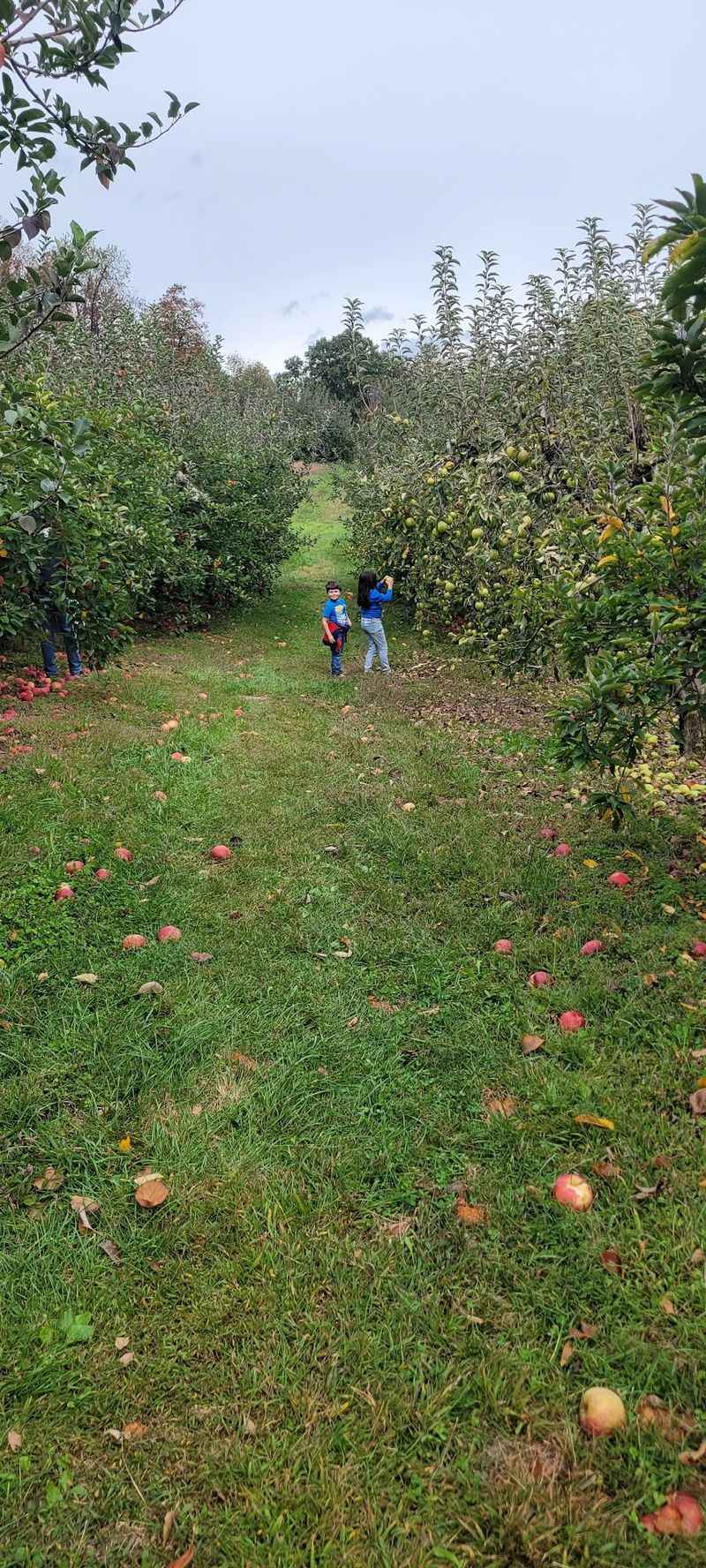 Haney's Appledale Farm