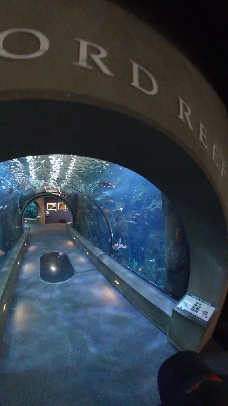 Oregon Coast Aquarium, Newport