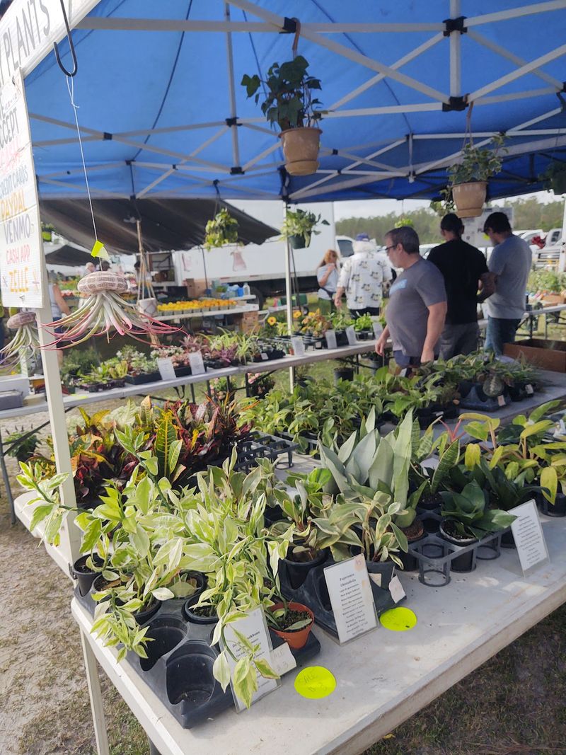 Volusia Farmer's Market, DeLand, FL