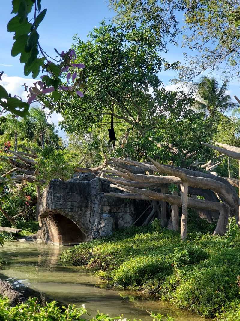 Zoo Miami