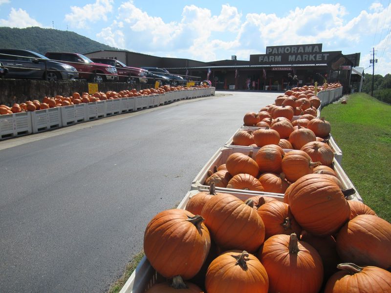 Panorama Orchards & Farm Market, Ellijay