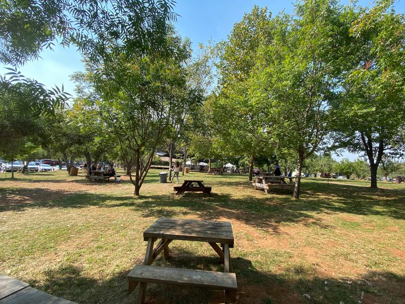 Picnic Tables Under The Trees Invite You To Stay