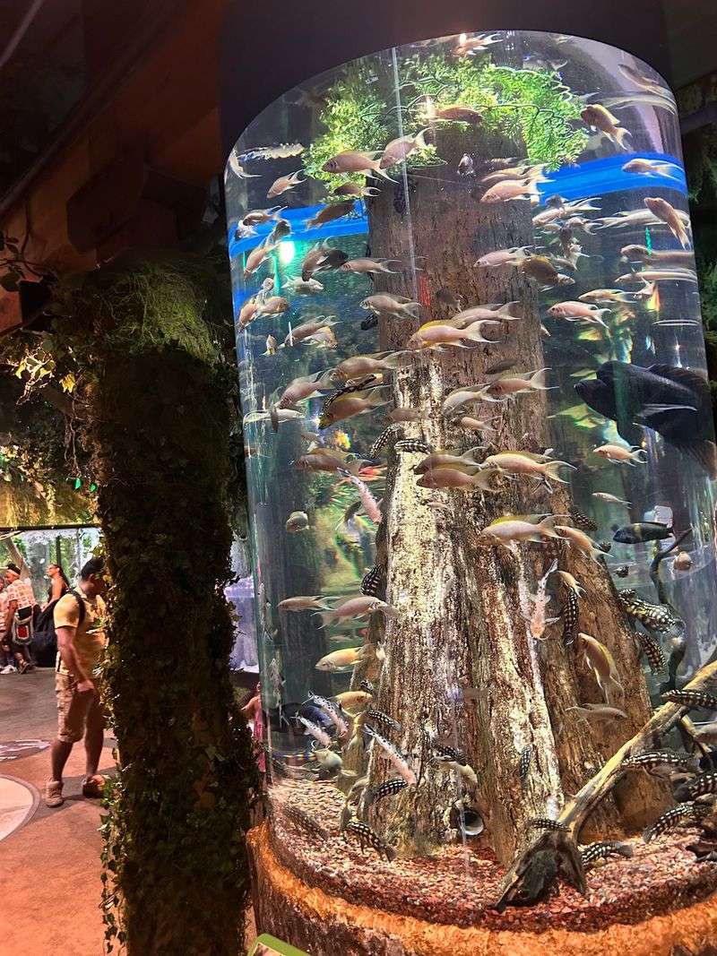 Seven Galleries, From Ohio Rivers To Indonesian Reefs