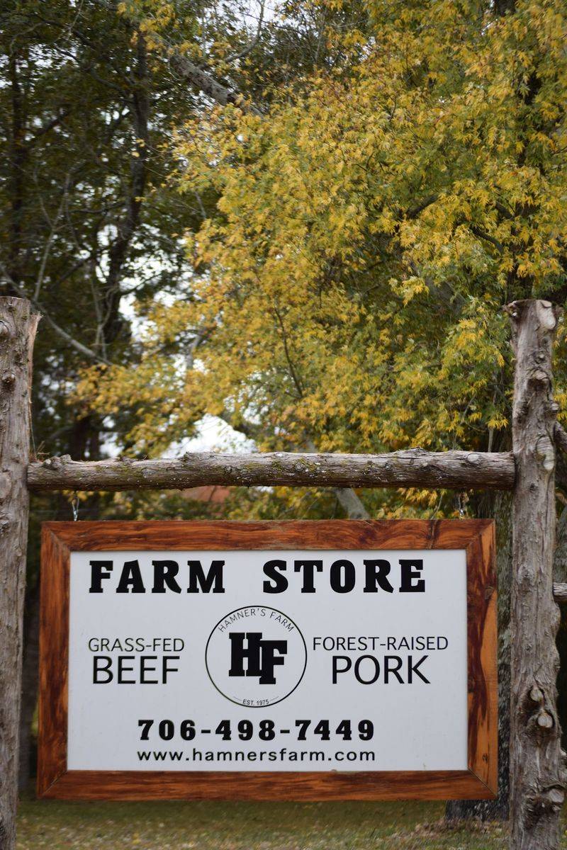 Hamner's Farm, Martin