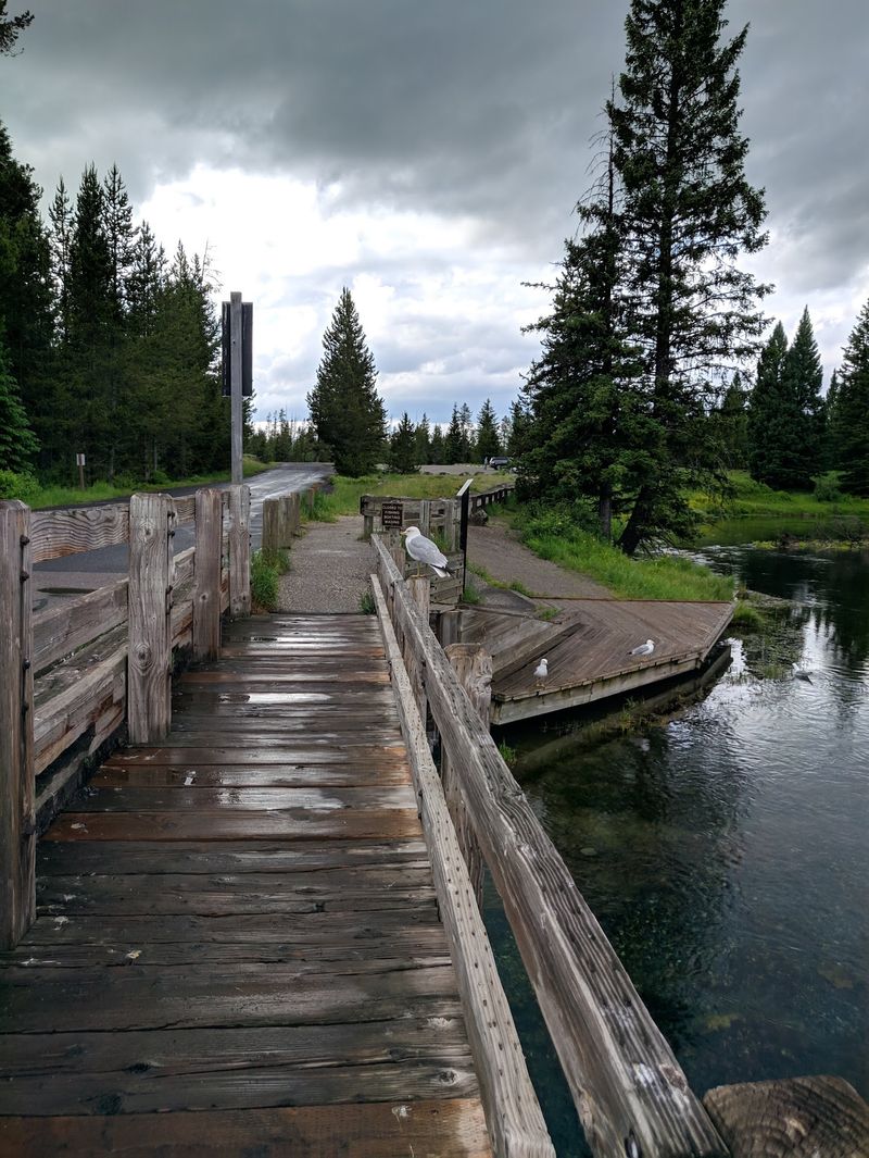 Half A Mile Of Easy Trail