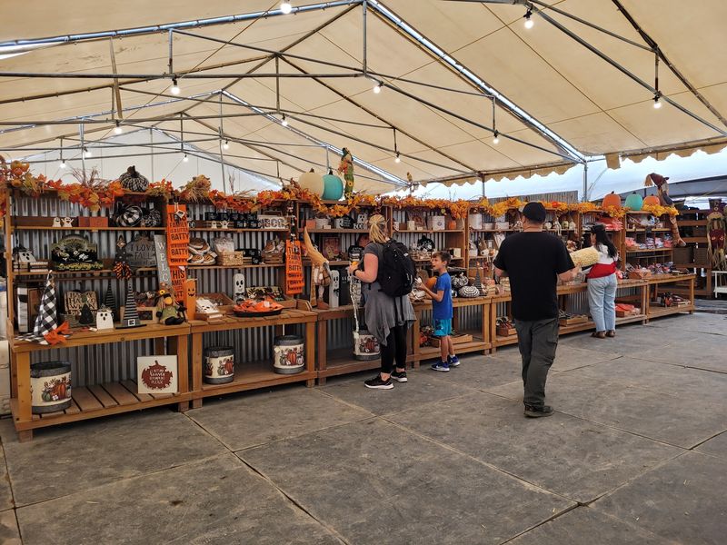 Tanaka Farms: Big Fun in Irvine