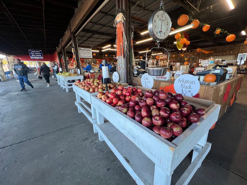 10 California Apple Orchards To Visit As Picking Season Gets Underway - Decor Hint Gizdich Ranch, Watsonville
